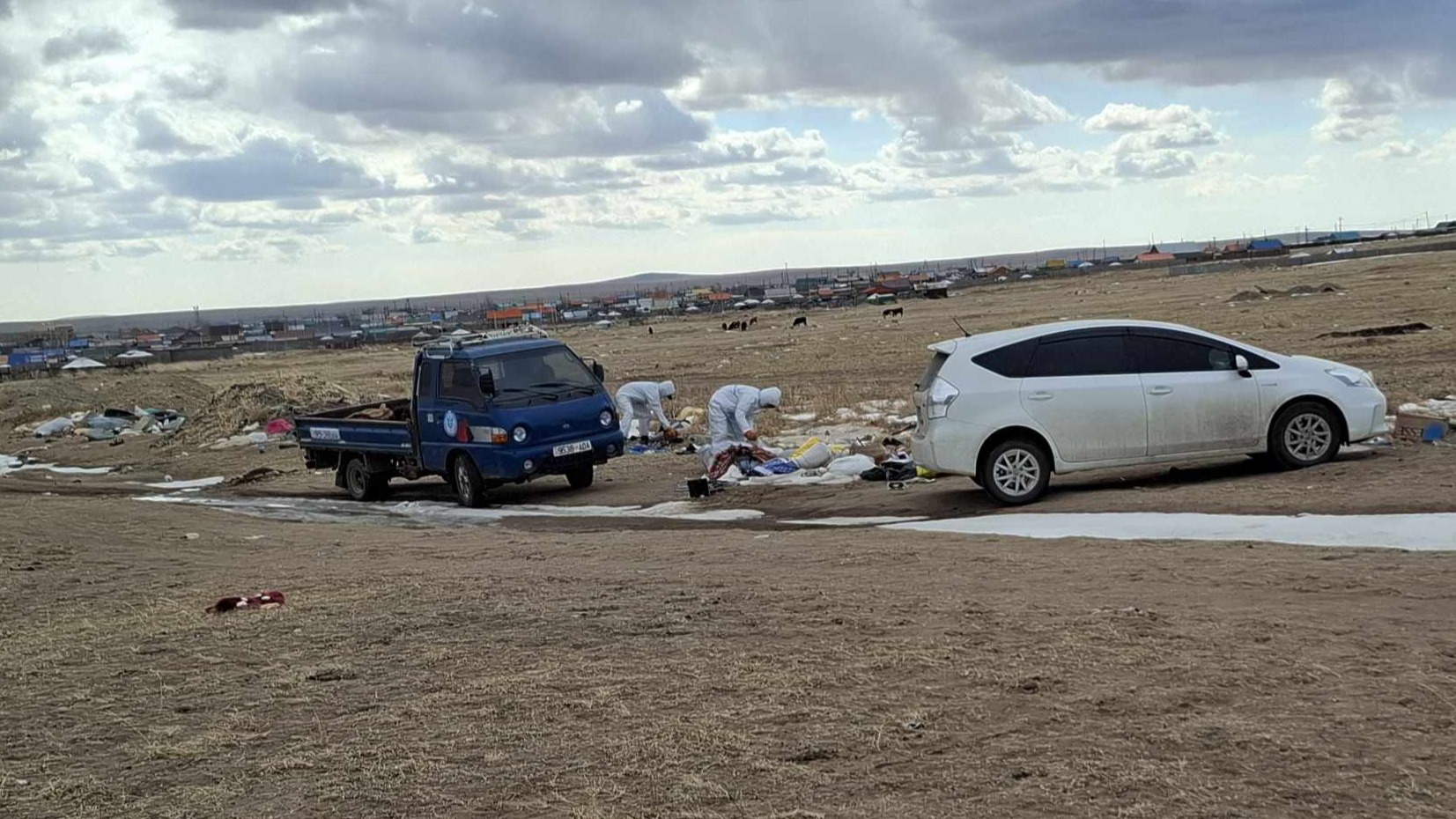 МАЛ, АМЬТНЫ СЭГ ЗЭМИЙН УСТГАЛЫН АЖИЛ ЗОХИОН БАЙГУУЛАГДАЖ БАЙНА. 